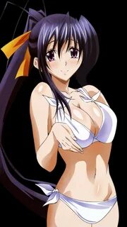 Akeno Himejima Wallpapers (67+ background pictures)