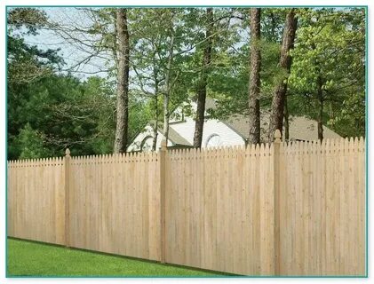 Cheap Bamboo Fencing Rolls Home Improvement