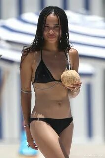 Zoe Kravitz Wearing Black Bikini Miami Pictures Beautiful Pe