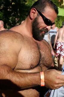 Gay bear video