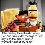 Bert and Ernie Stupid funny memes, Bert and ernie meme, Filt