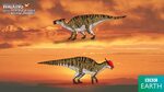 Walking with Dinosaurs: Saurolophus by TrefRex on DeviantArt