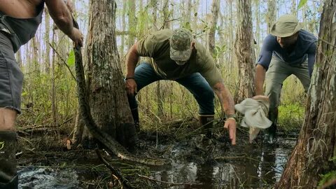 Christy swamp people
