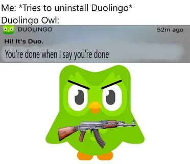 25 Duolingo Owl Memes That Threaten to Murder Your Family - 