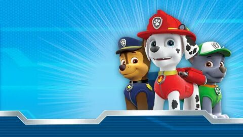 freie Stelle physikalisch Gemäßigt paw patrol amazon prime T