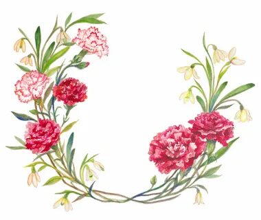 birth month flowers - January Carnation flower tattoo, White