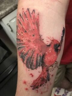 Watercolor Cardinal @ Tyler Odom at Dinosaur Tattoo Company 