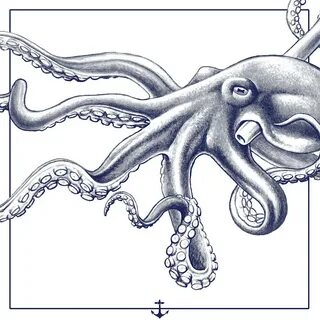 Octopus Drawing by Martin Williams Pixels
