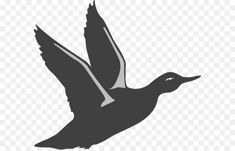 Bird Silhouette png download - 640*575 - Free Transparent Ma