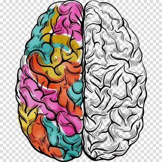 Clipart brain illustration, Clipart brain illustration Trans