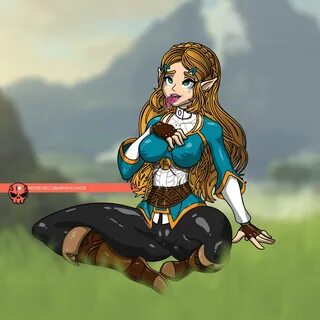Rash Chaos - Princess Zelda breath of the wild