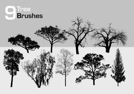 9 High Resolution Tree Brushes Photoshop brushes free, Tree 