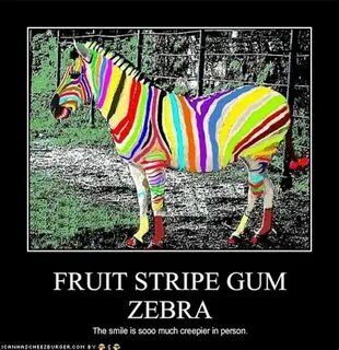 Fruit stripe gum Memes