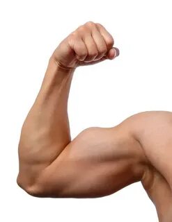 Strong arm male Pictures, Strong arm male Stock Photos & Ima