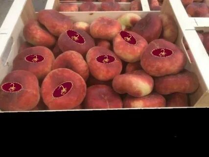 Парагвайский персик купить в Испании на UniBO.ru - объявлени