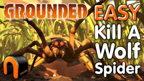 GROUNDED How To KILL WOLF Spiders EASY! #Grounded - YouTube 