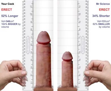 Average penis images