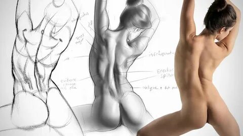 Anatomy Drawing Critiques - The Lower Back - YouTube