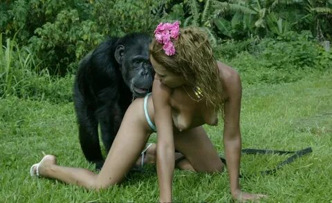 Ютуб Порно Женщин С Приматами