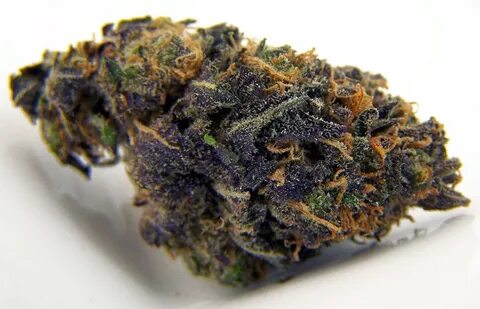 My Favorite Strains: Blackberry Kush - Weedist