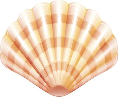 Sea Clam Shell Png Clip Art Image - Shell Transparent Png - 