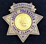 Pin on Police and Law Enforcement Badges