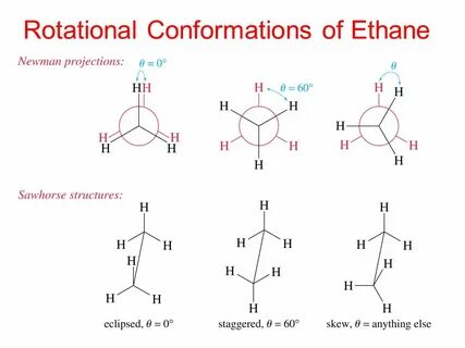 Conformational Analysis Newman Projections Ring Strain Cyclo