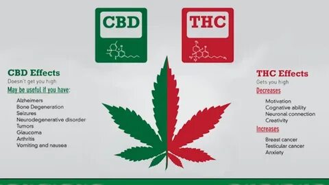 Cbd Thc Difference