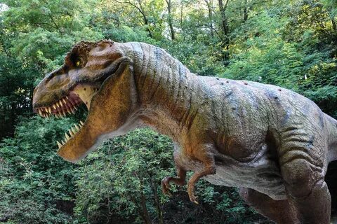 Dino Park Tyrannosaurus Rex by Džoko Stach - Image Abyss