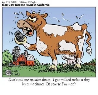 Mad Cow Disease Meme - Floss Papers