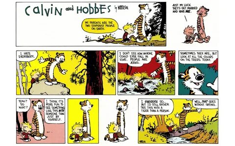 Read online Calvin and Hobbes comic - Issue #4