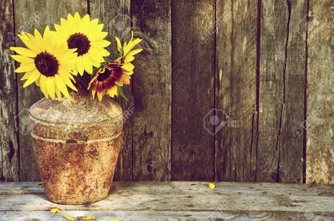 High Contrast, Vintage Image Of A Rustic Vase With Beautiful