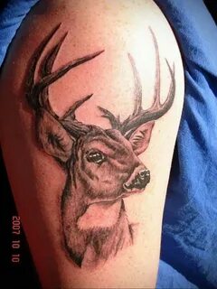 Фото тату с животным на плече 12.03.2020 № 067 -animal tatto