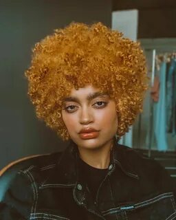 honey blonde curly afro Cool hairstyles, Blonde afro, Hot ha