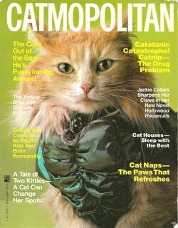Catsparella: Vintage Catmopolitan Magazine Gives Real Ladyma