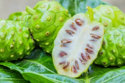 Noni, un fruto bajo la lupa Noni fruit, Noni juice, Juicing 