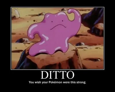Ditto Memes