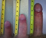 File:Flaccid penis to erect compare.png - Wikimedia Commons