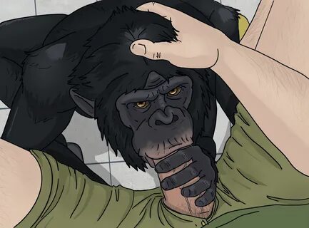 Chimpanzee Porn