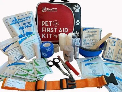 Pet First Aid Kit with LED Safety Collar (Amazon) .