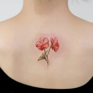 Pin by 예인 추 on 타투 Geranium tattoo, Tattoos, Tattoo lettering