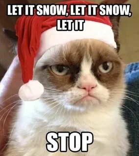 Pin by Claudia Parker on Accessorise Grumpy cat christmas, F