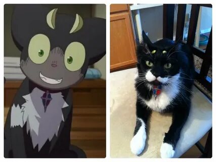 real life kuros :3 :o Blue Exorcist Amino