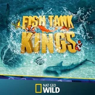 Сериалы в Google Play - Fish Tank Kings: Сезон 2 Серия 9