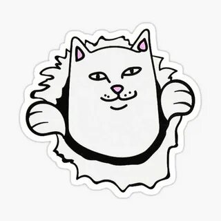 "cat" Sticker for Sale by SaNDUNic Redbubble