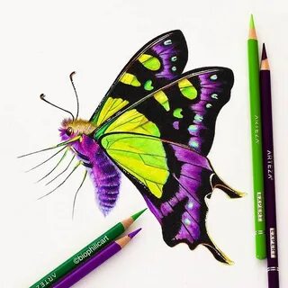 This is a little Macleay Butterfly, a fun little piece l did