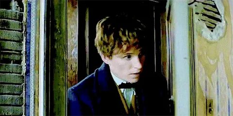 eddie redmayne gif Tumblr Harry potter fantastic beasts, New