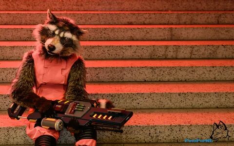 Rocket Raccoon Wallpapers (70+ background pictures)