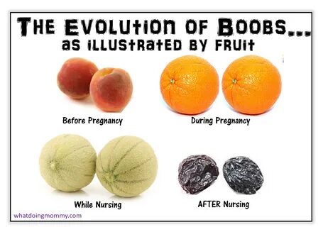 The Evolution of Boobs.