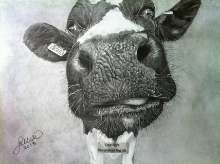 My Old Cow' - 2013 - (Drawing) by Stevegillettart on deviant